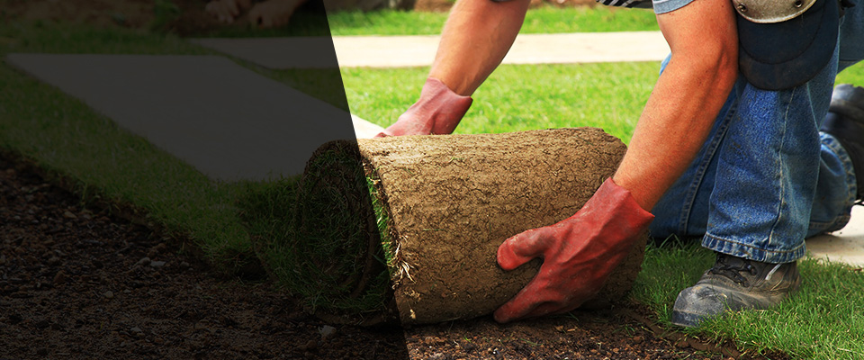 Orange Beach Landscapers